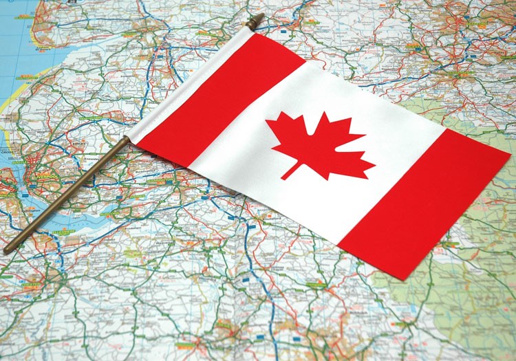 شرکت های انفرادی و نقش آن در اقامت کانادا از طریق سرمایه گذاری